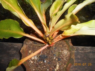 DSCN2103.jpg