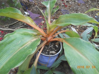 DSCN2093.jpg
