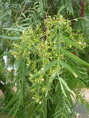 20160717 068.JPG