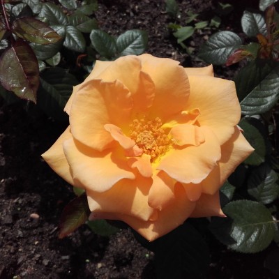 20160622_125602.jpg