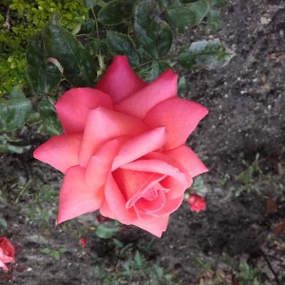 20160622_125043.jpg