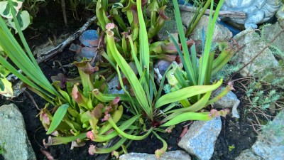 WP_20160802_18_26_46_Pro.jpg