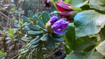 WP_20160803_19_16_46_Pro.jpg