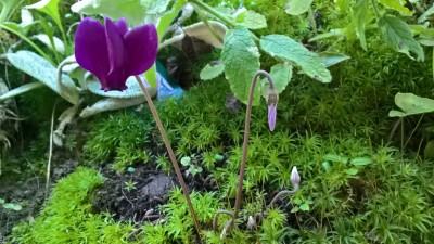 WP_20160803_19_12_51_Pro.jpg
