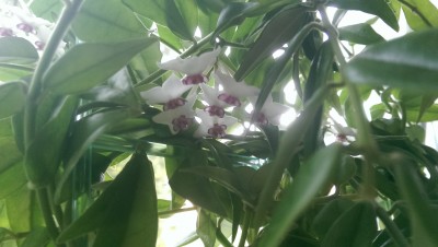 IMAG0352.jpg