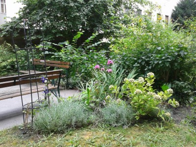 20160806_144923Hof.jpg