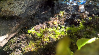 WP_20160807_10_31_32_Pro.jpg