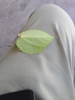 green 126.jpg