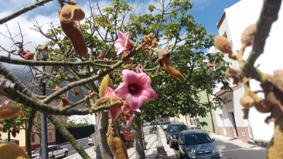 20160808_122328.jpg