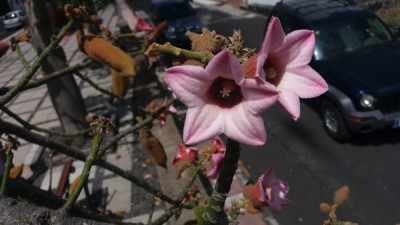 20160808_122401.jpg