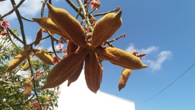 20160808_122419.jpg