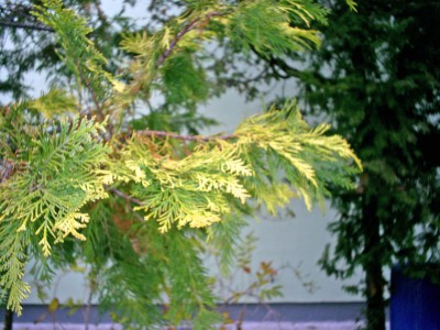 S4025767_edited.JPG