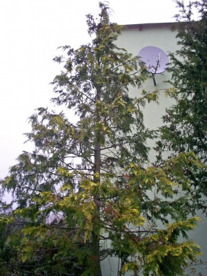 S4025766_edited.JPG