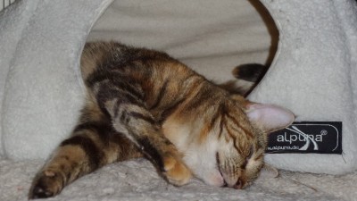 20160811_201011[1].jpg