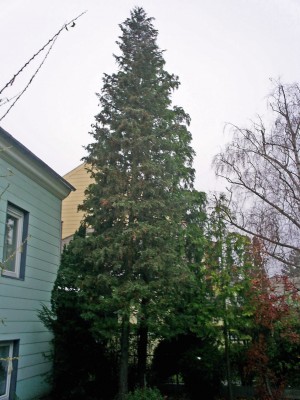 S4025761_edited.JPG