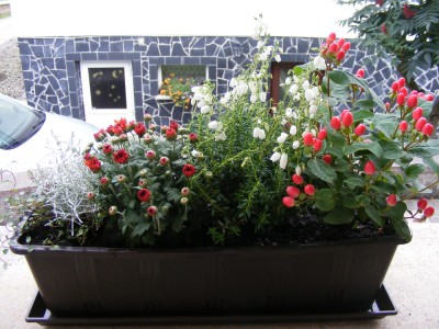 Herbstbepflanzung (2).JPG