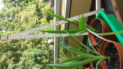 20160815_163147.jpg