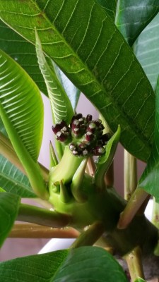 20160818_122529.jpg