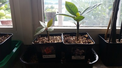 20160818_122722.jpg