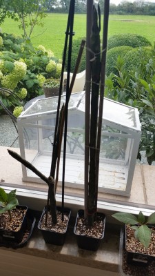 20160818_122807.jpg