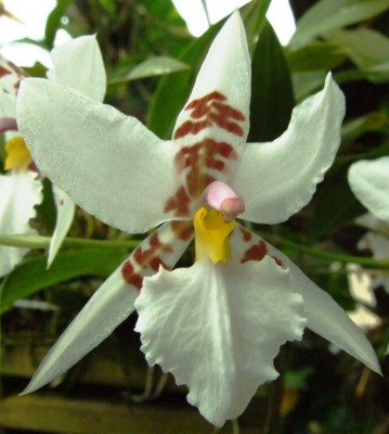 DSCF1021.JPG