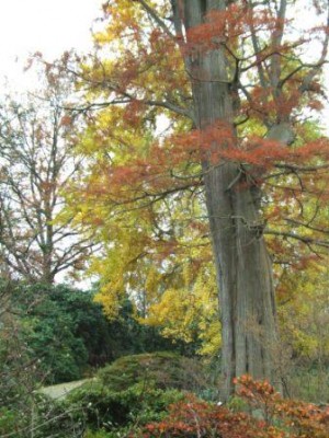 DSCF1048.JPG