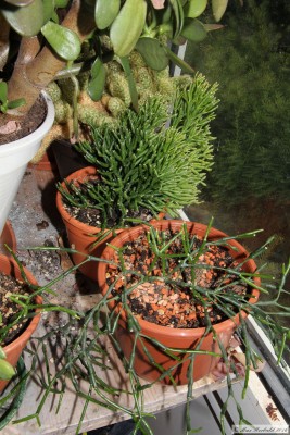 20160823_07.JPG