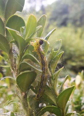 20160821_140911.jpg