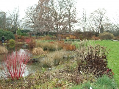 DSCF1031.JPG