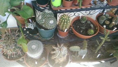 IMAG0378.jpg