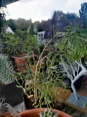 IMG_20160827_190857.jpg