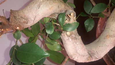 20160828_092206.jpg
