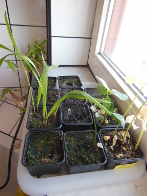 DSCN1701.JPG