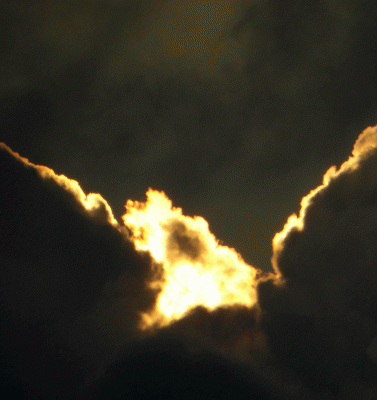 P1030063.gif
