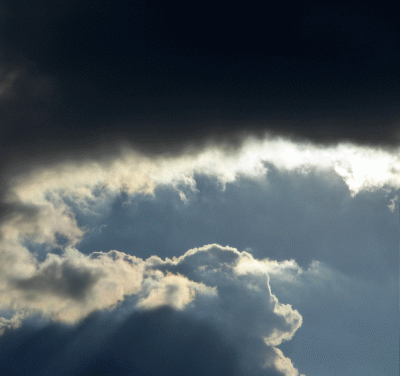 P1020922.gif