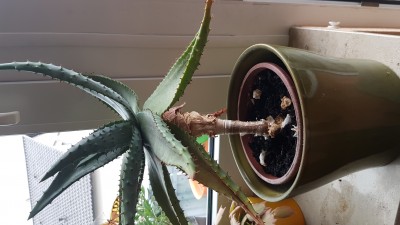 20160904_112841.jpg