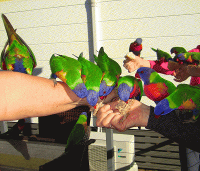IMG_3743.gif