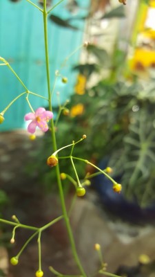 20160906_180717.jpg
