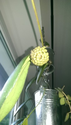 IMAG0398.jpg