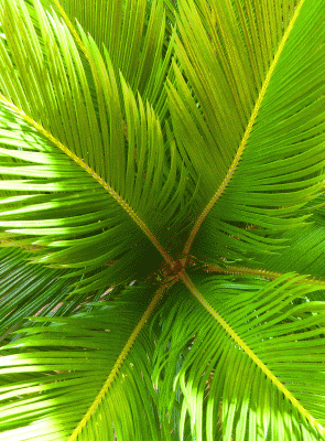 P1030558.gif
