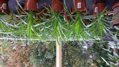 20160913_095312.jpg