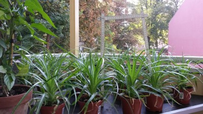 20160913_095557.jpg