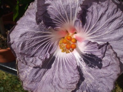 Night Beacon (2).JPG