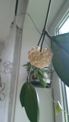 IMAG0430.jpg