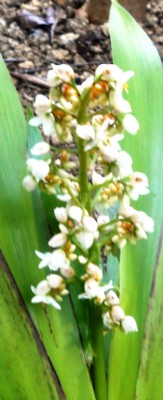 DSCN05712.jpg