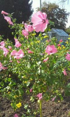 20160915_155257.jpg