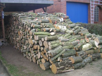 Makro 003.JPG