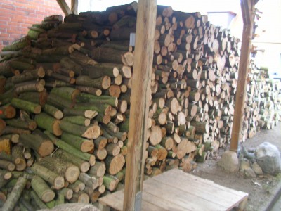 Makro 002.JPG