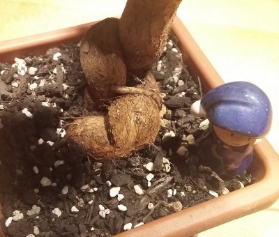 20160920_194422.jpg