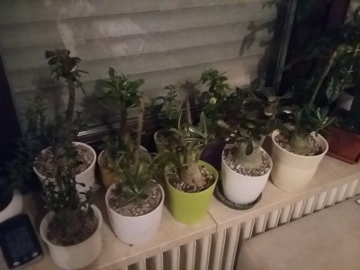 20160922_193321.jpg